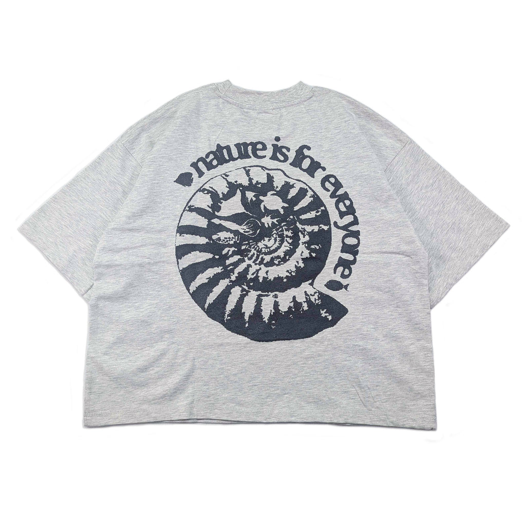 [ammonite]