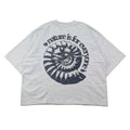 [ammonite]