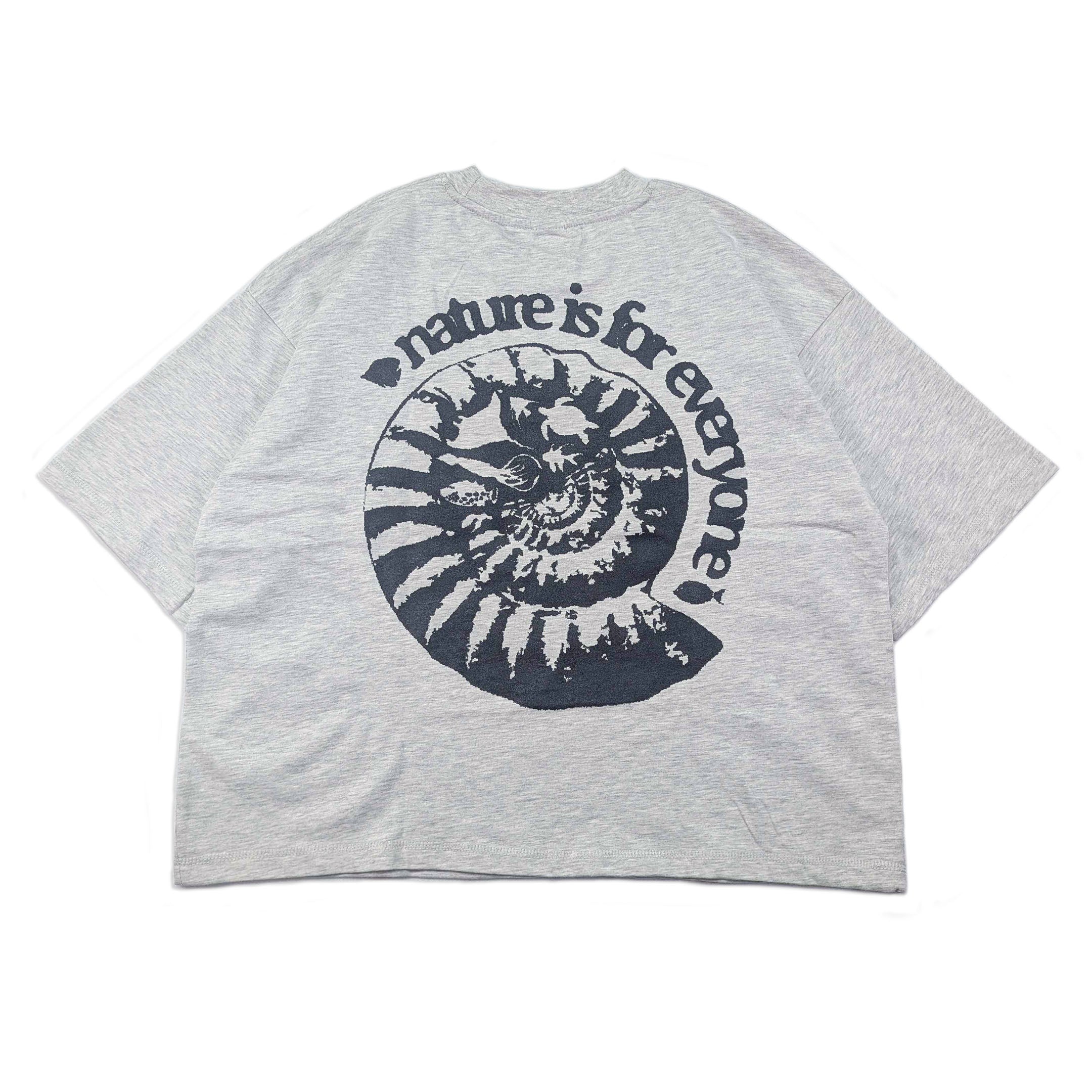 [ammonite]